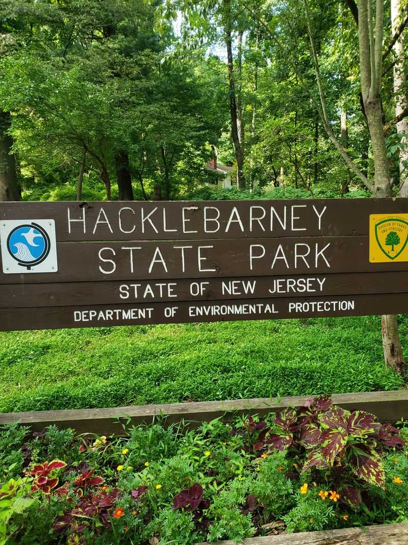 Family-Friendly Options Include Stroller-Accessible Sections For Everyone