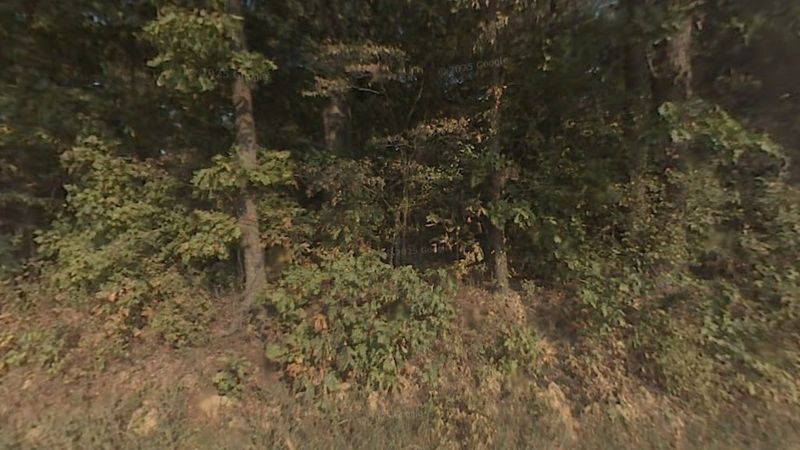 Hemmer Woods Nature Preserve