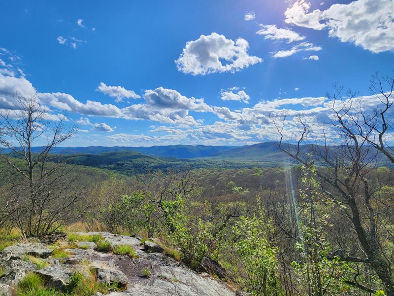 Route 301 Near Cold Spring