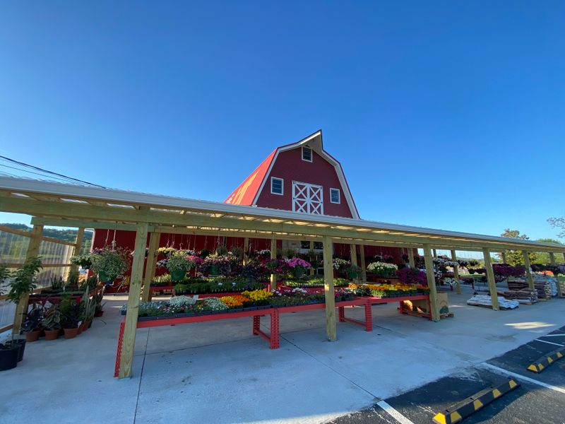Backroad Produce Stands