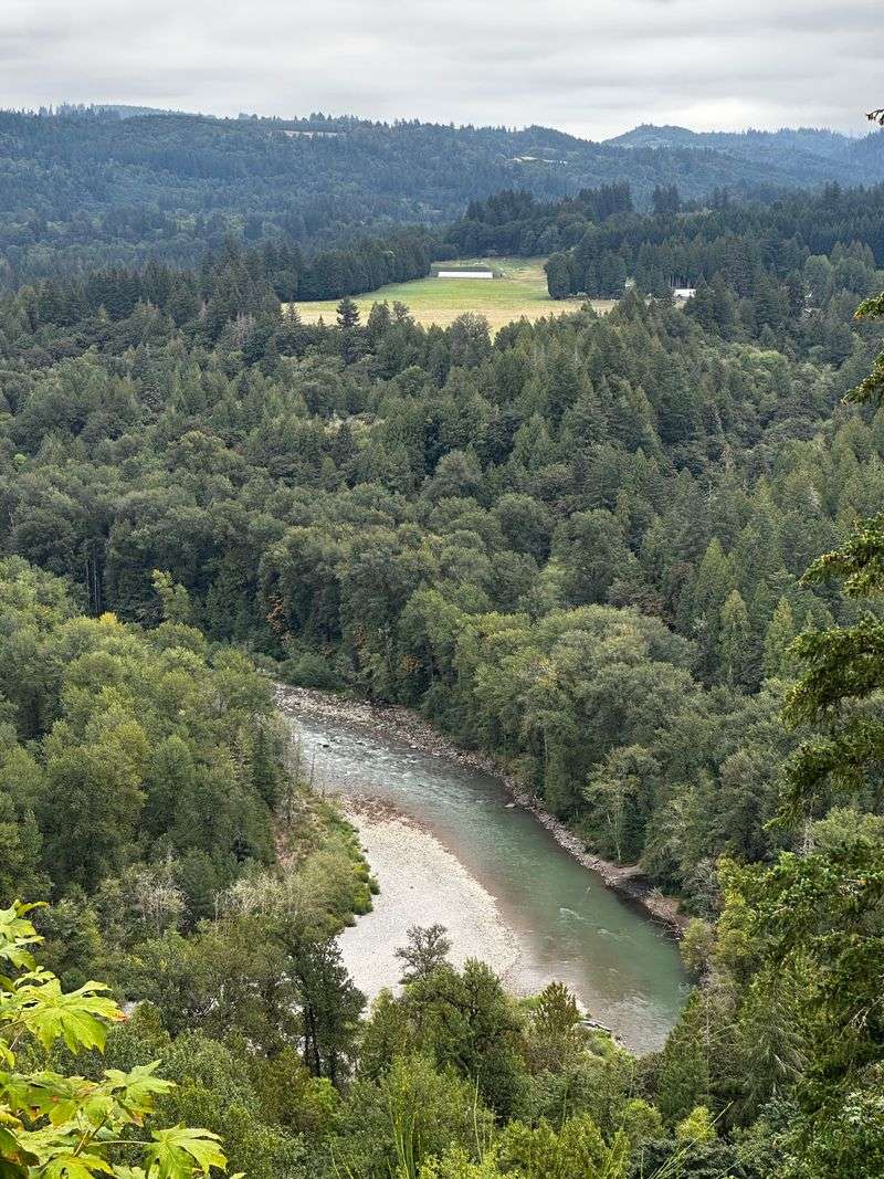 Dog Safety Warning About Serious Cliff Hazards