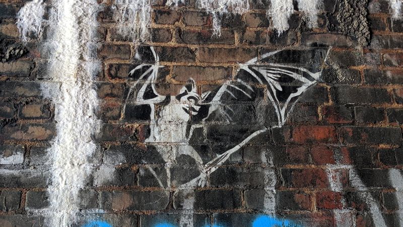 The Tunnel Amplifies Every Step