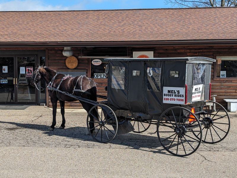 Buggies Are About Separation, Not Aesthetic