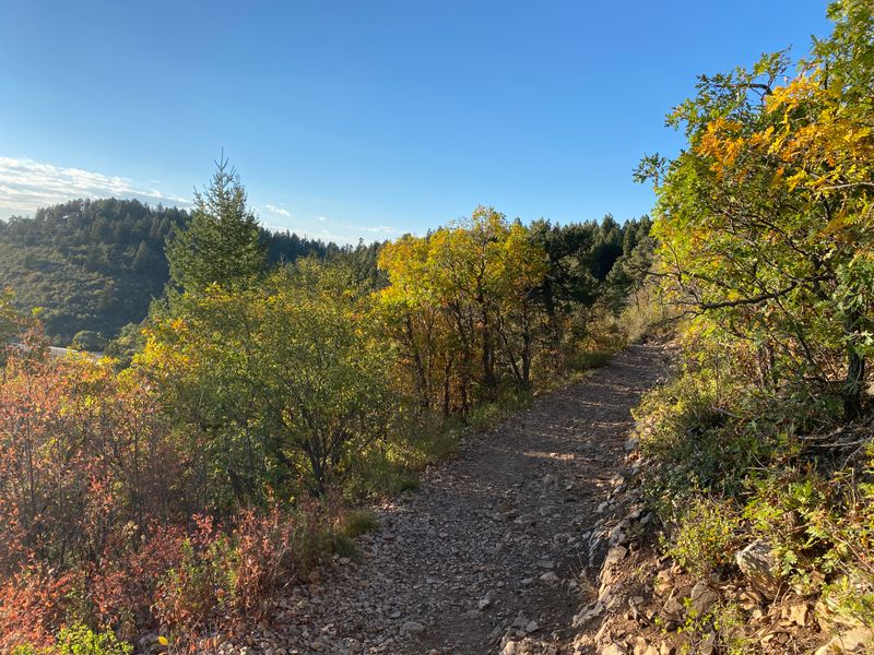 Cloudcroft