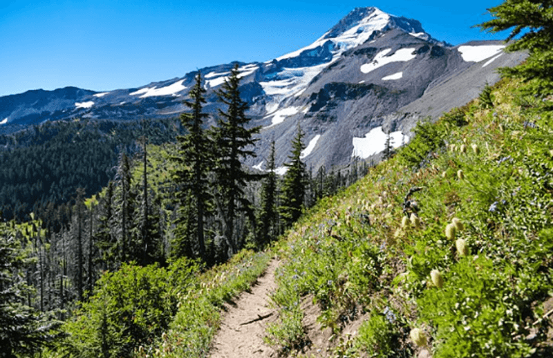 Mount Hood National Forest: Backcountry Beyond the Busy Trails