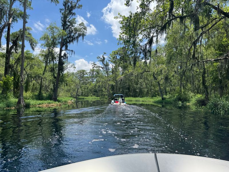 CatBoat Adventure Tours, Mount Dora