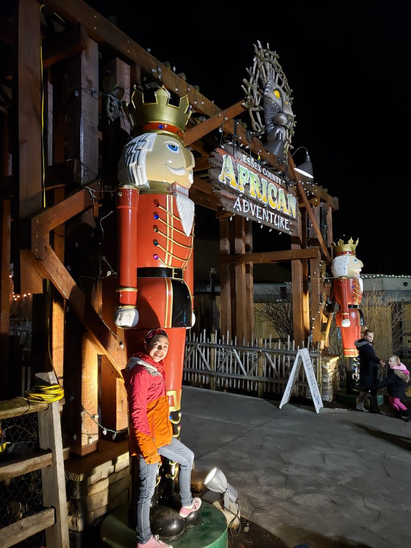 Turtle Back Zoo Holiday Lights: Animals and Illumination