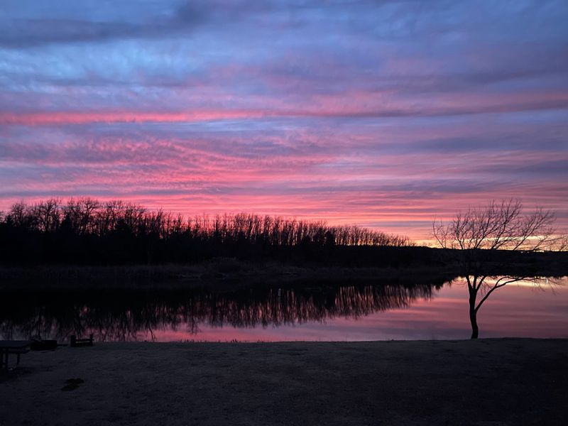 Free Camping Under Star-Filled Skies