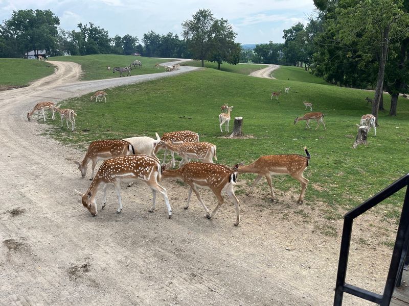 The Pace Set By Farms And Seasons