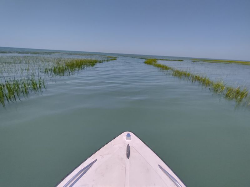 Wreck Island Natural Area Preserve