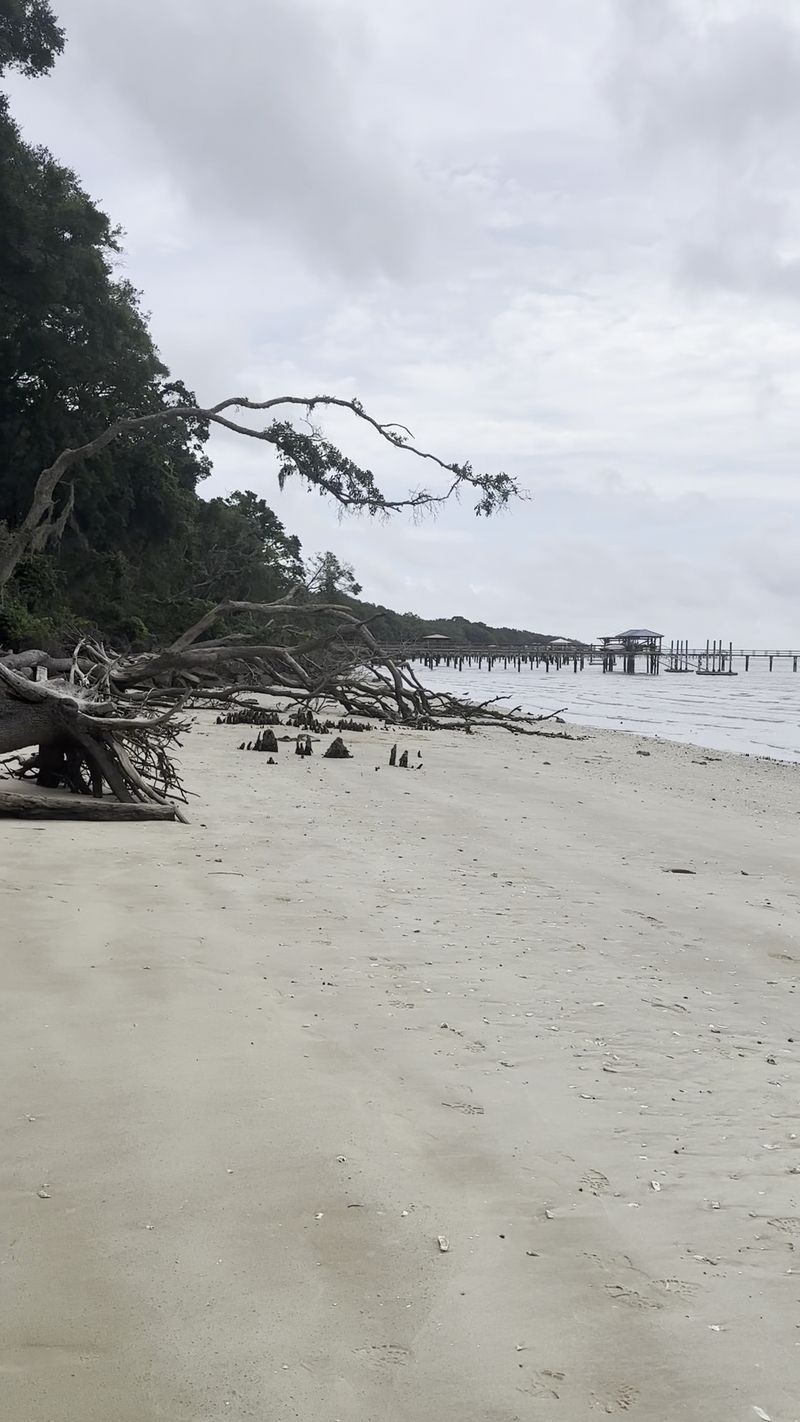 Environmental Pressures at Fort Fremont Preserve