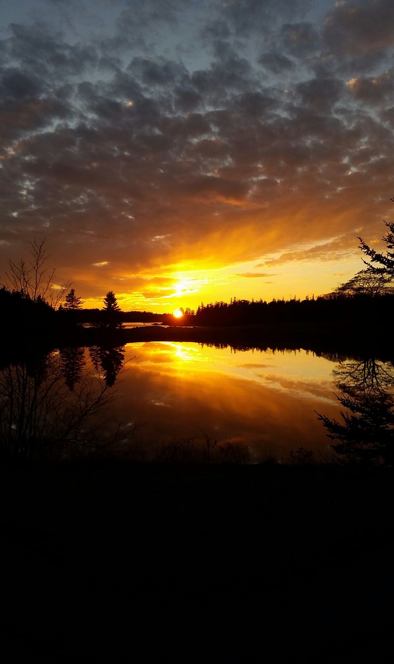 The Harbor Becomes Reflective Instead Of Functional