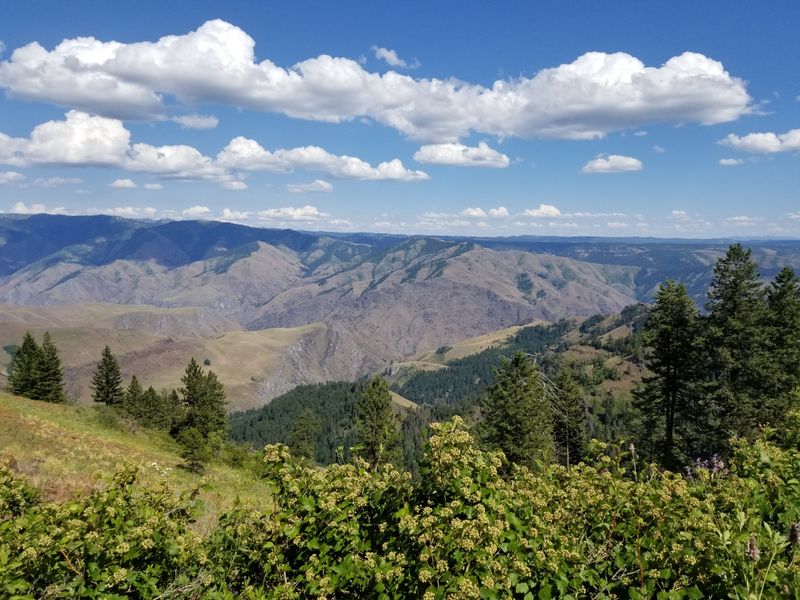Wallowa Mountains and Hells Canyon Vistas