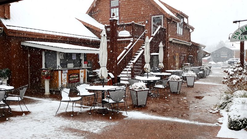 Out-of-Town Drivers Unfamiliar with Local Roads