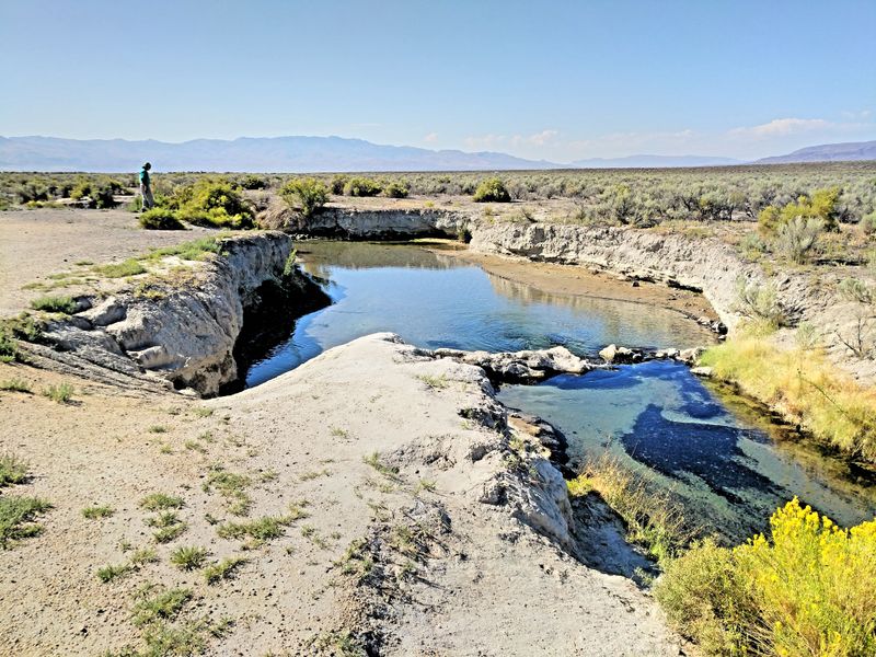 Bog Hot Springs