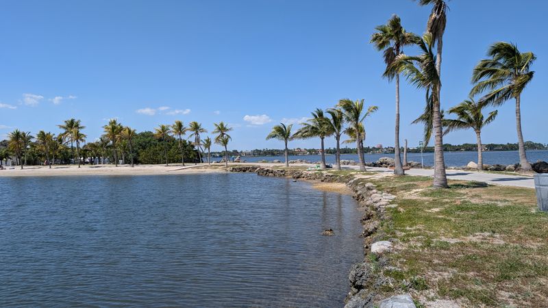 Picnic At Matheson Hammock Park