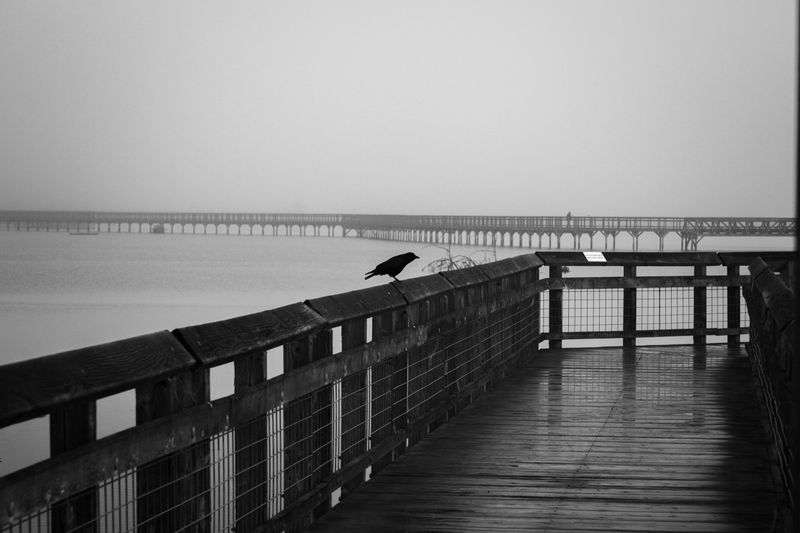 Niles Canyon Bridge / Route 84