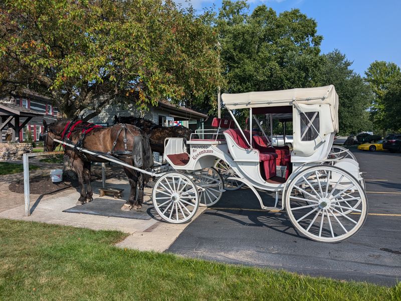 Authentic Amish Cultural Experience and Atmosphere