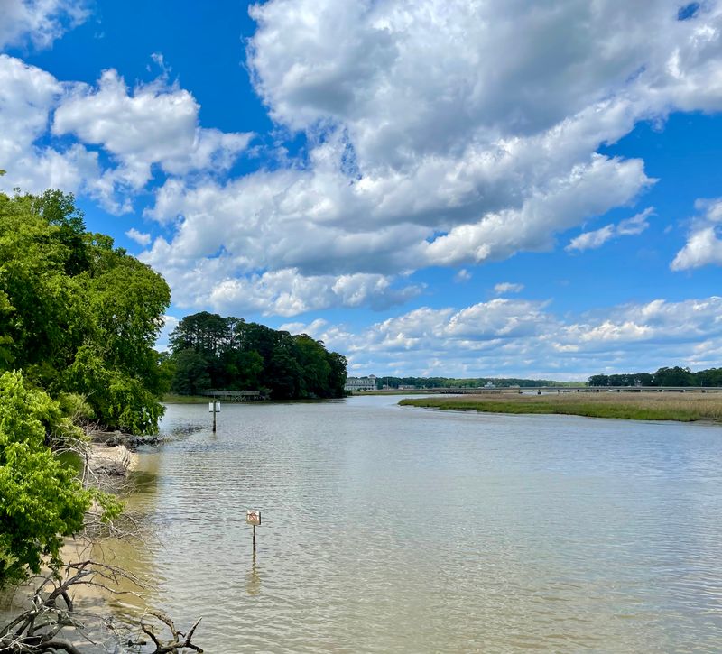 Waterfront Bench Circuit