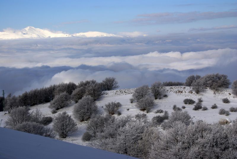 Why Alabama’s Winter Corners Feel Different