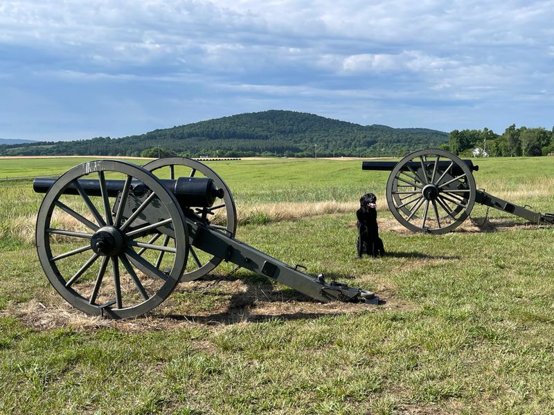 Cedar Mountain Battlefield