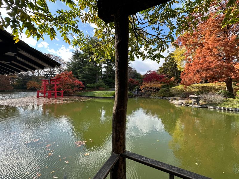 The Jingu House Cafe Serves Refreshment With a View