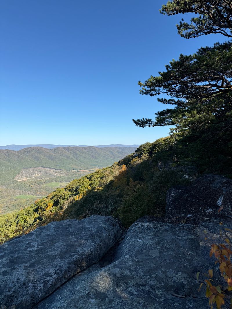 Tinker Cliffs