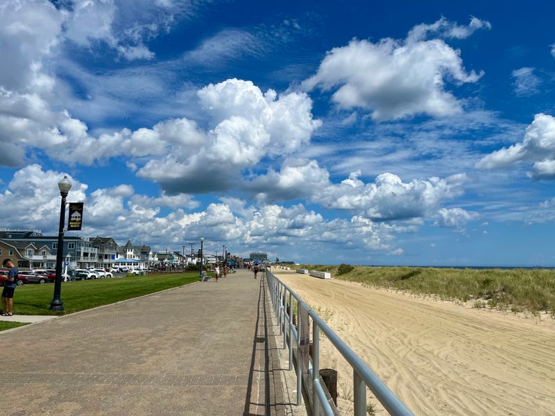 Bradley Beach: The Forest by the Sea