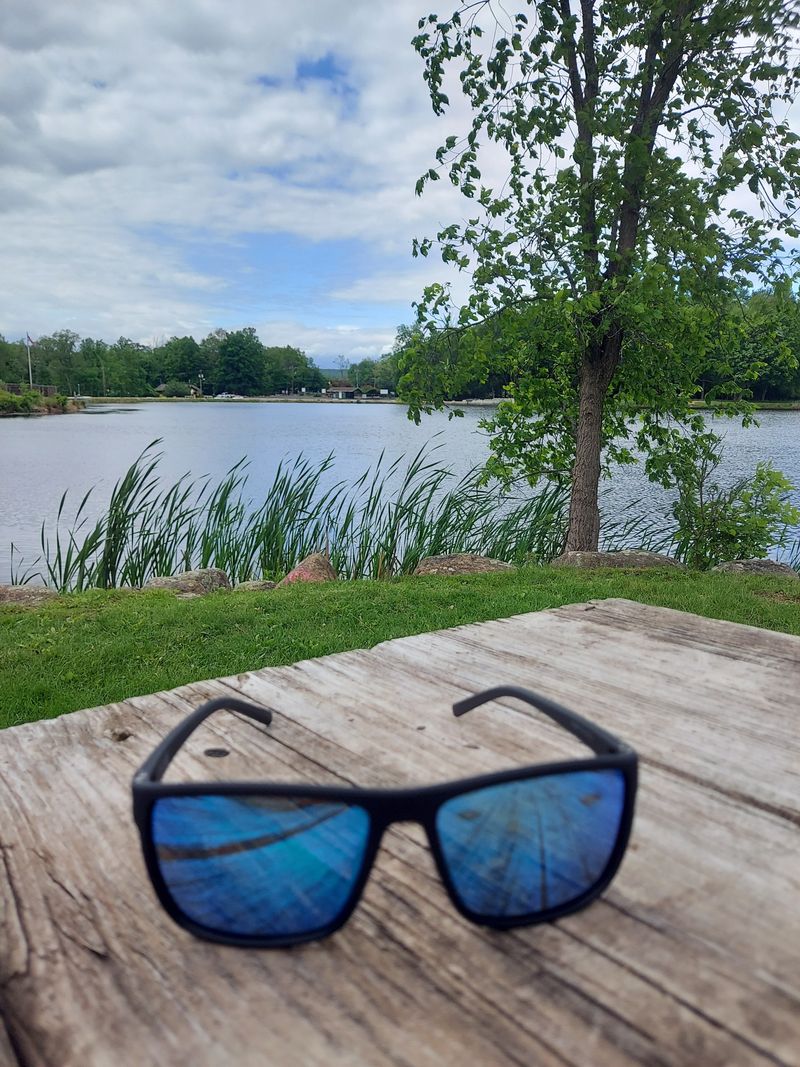 Darlington County Park