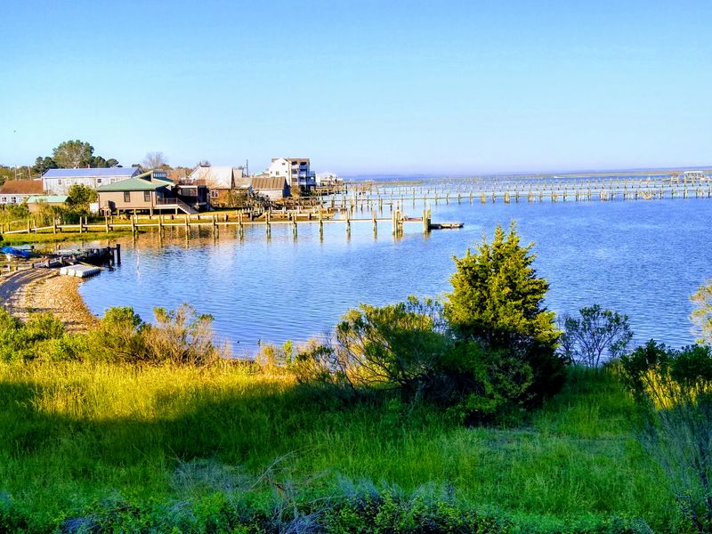 Tom's Cove Visitor Center Provides Educational Exhibits and Refuge Information