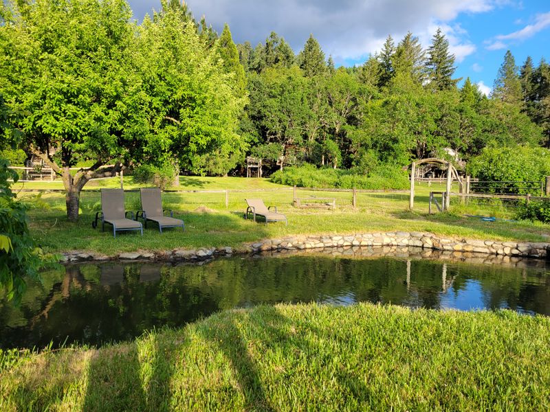 Freshwater Swimming Pool for Relaxation and Play