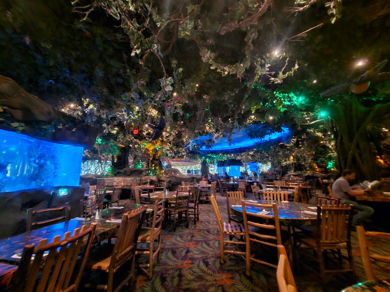 Rainforest Cafe
