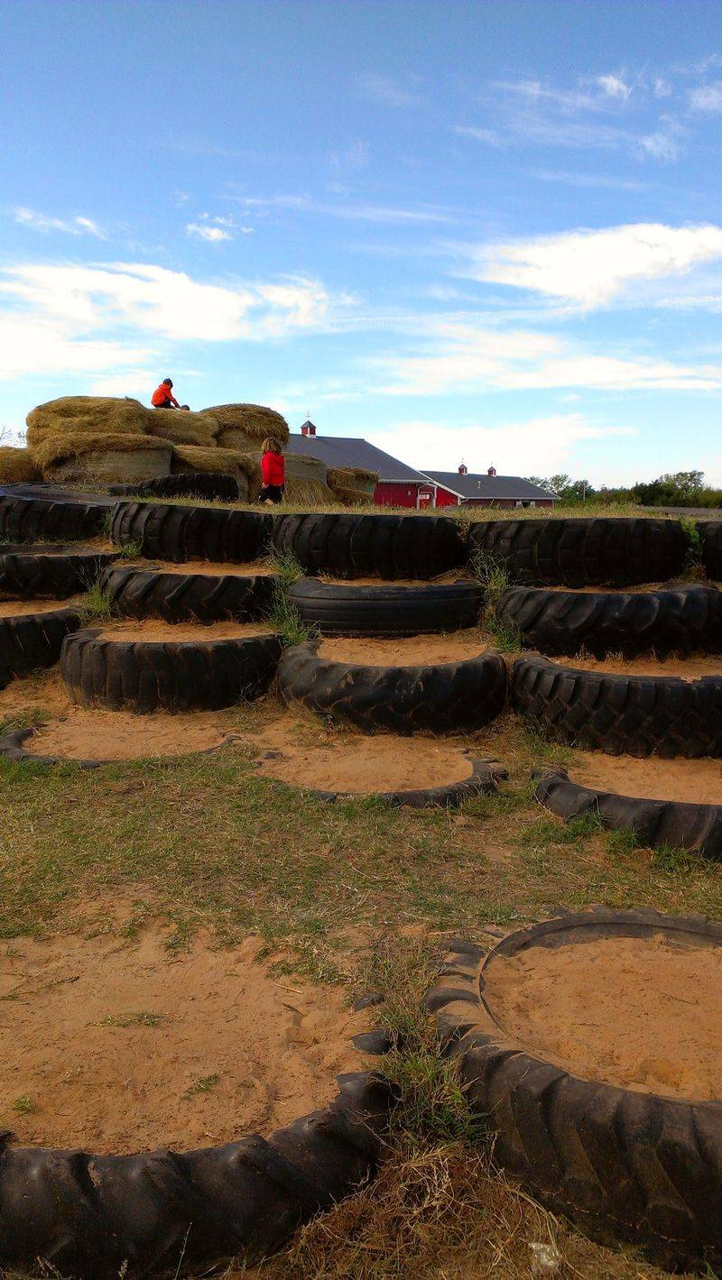 Ride the Hayride Through the Farm