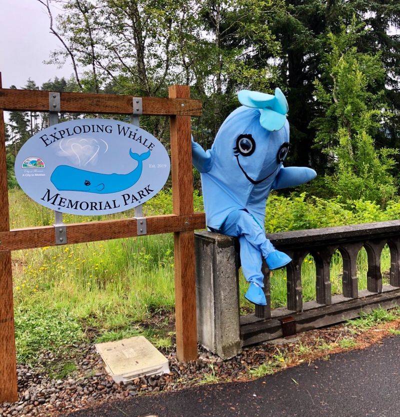 Exploding Whale Day, Florence