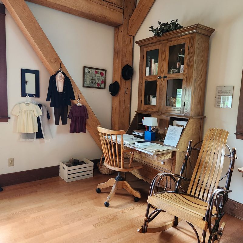 Why Technology Is Chosen, Not Shunned