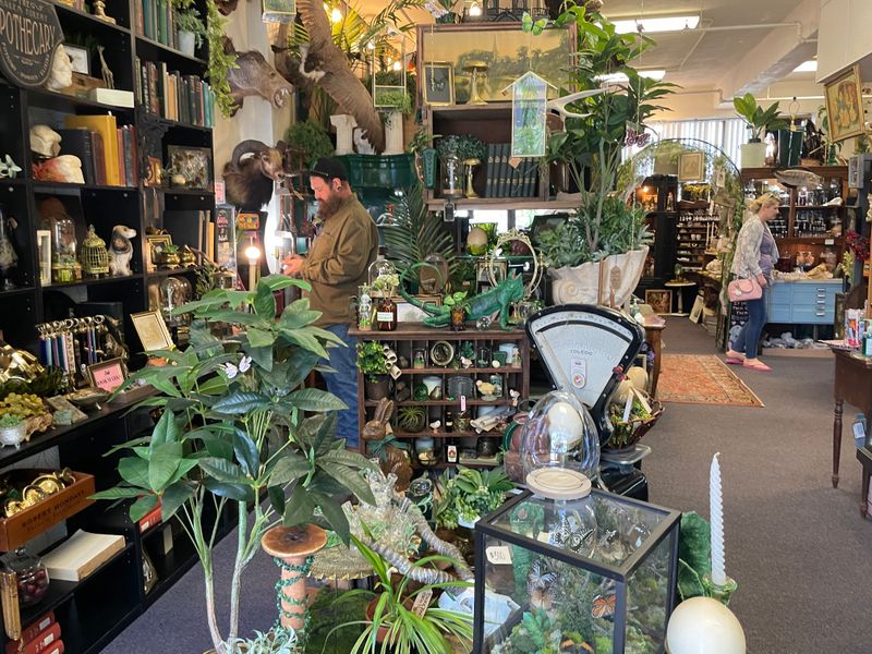 Vintage Shops and Antique Stores