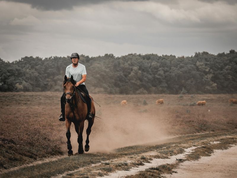 Night Riding Requirements (For the Cowboys)