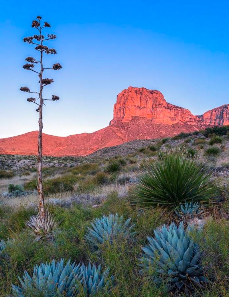 Guadalupe Mountains National Park