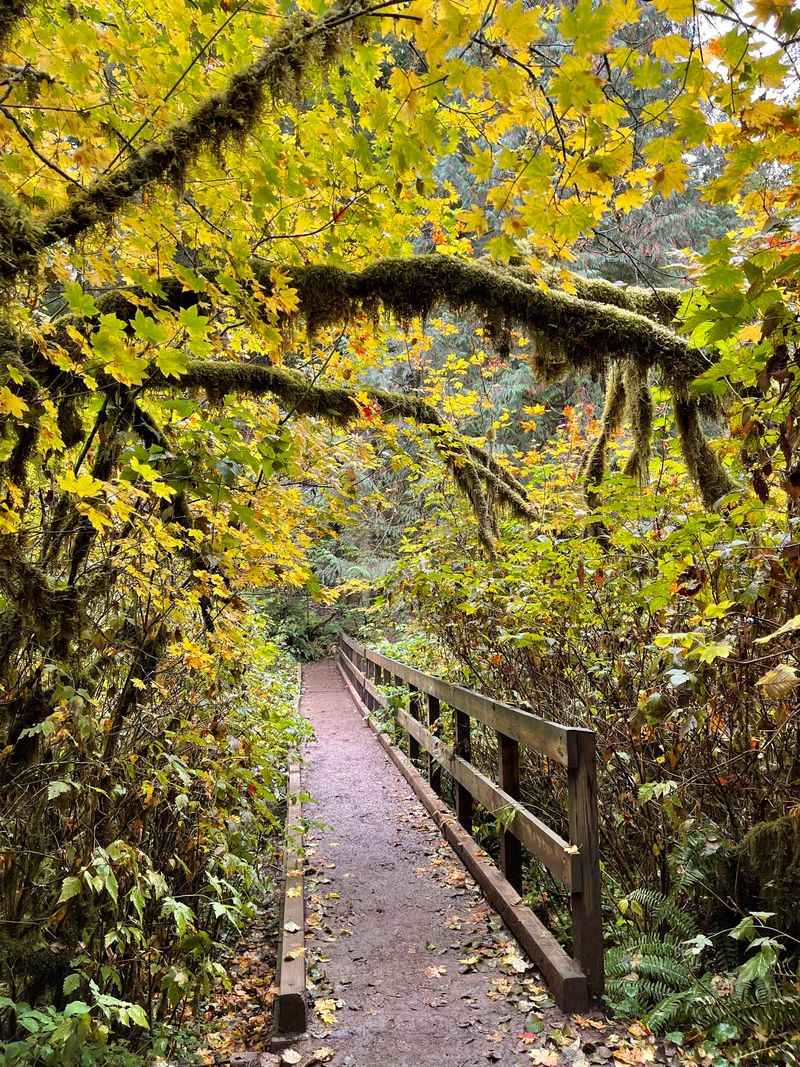 The Enchanting Forest Float Experience