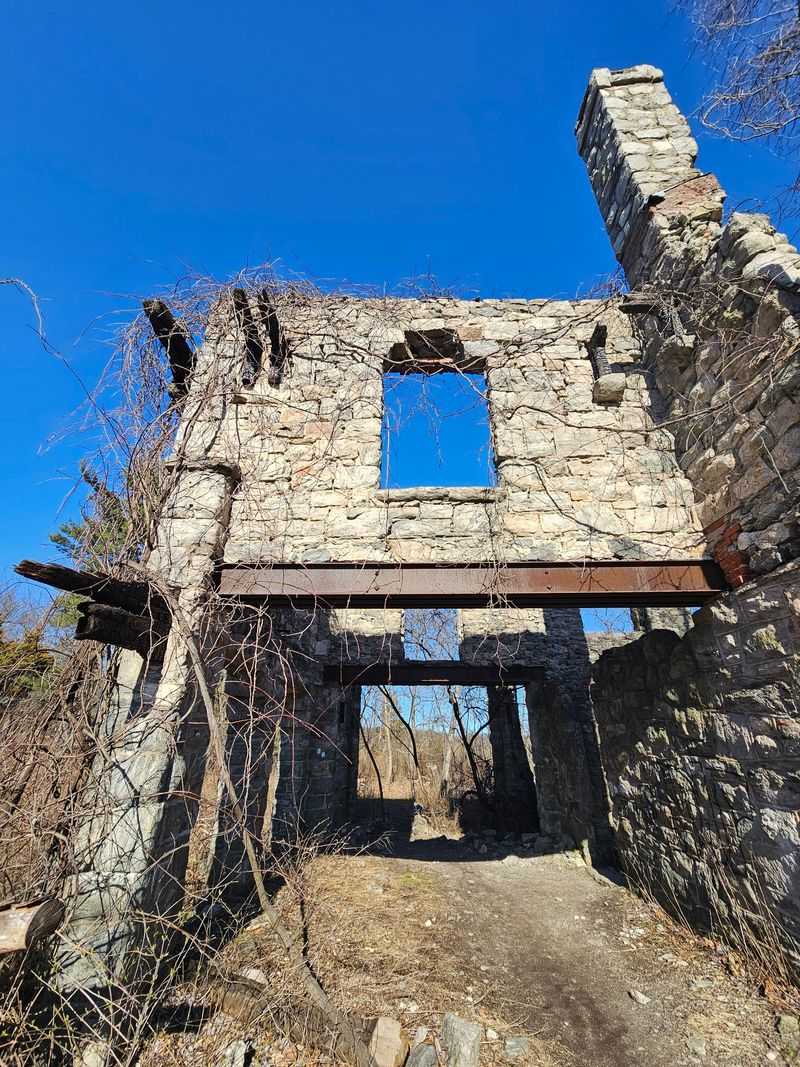 The Castle's Fascinating Origins and Early History