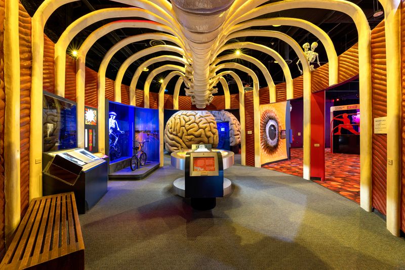 Educational Programs for All Ages