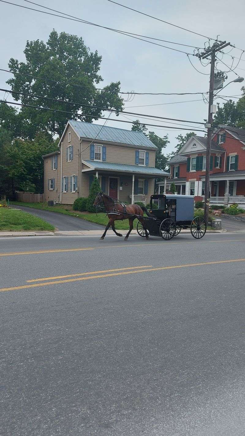 Curiosity Is Expected, Attention Is Not