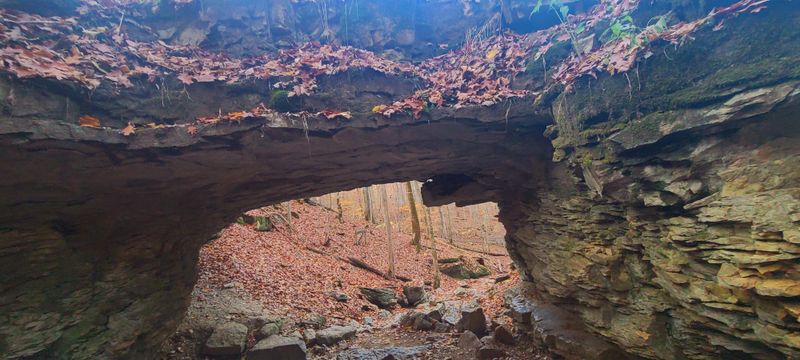 The Ancient Limestone Overhangs