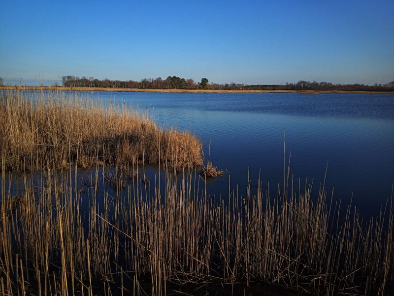 A Beach Town Without A Boardwalk