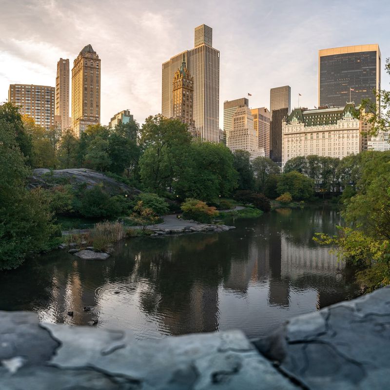 Central Park's Green Sanctuary Amid Urban Steel
