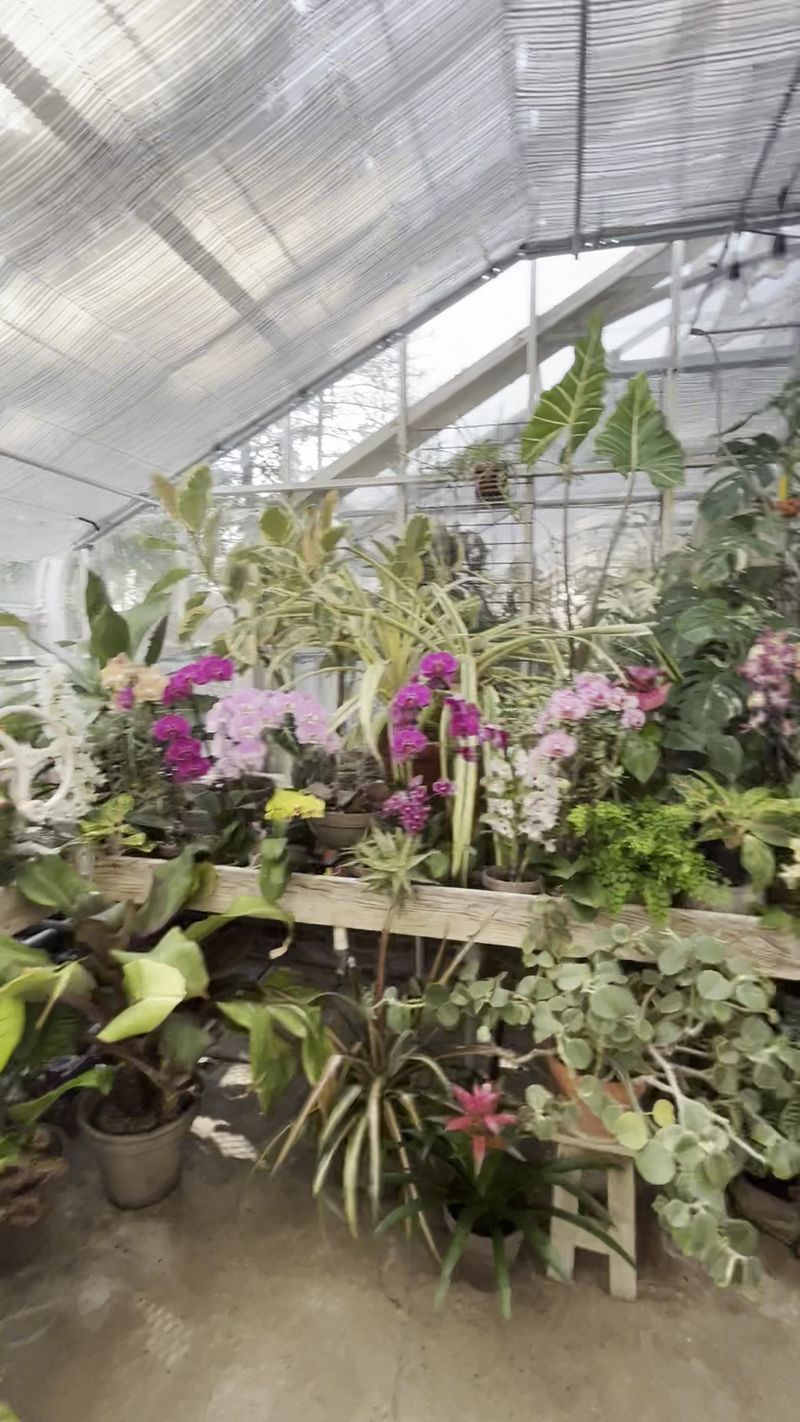 Greenhouse Collections Display Exotic Plants and Year-Round Color