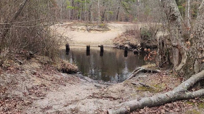 Quicksand Dangers That Make Off-Trail Exploring Risky Business