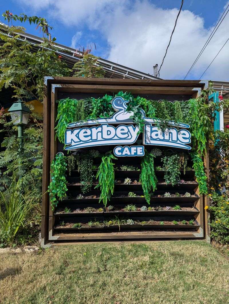 Migas Tacos That Define Austin Breakfast Culture