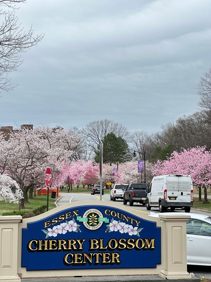 Parking Wars Have Created Neighborhood Nightmares