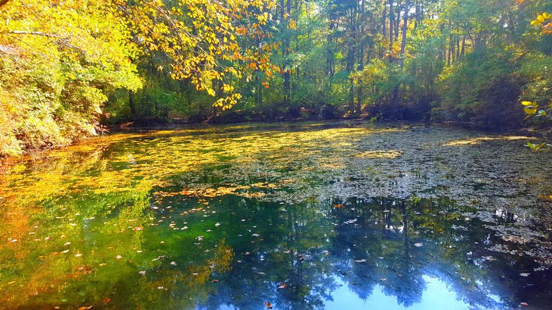 Jersey Devil's Favorite Swimming Spot According to Local Legend